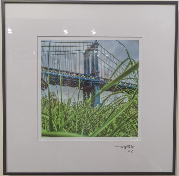 It's Like A Jungle Sometimes