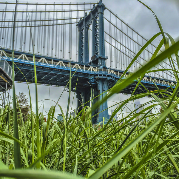 It's Like A Jungle Sometimes