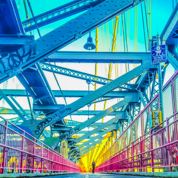 Willy B Illuminated Path